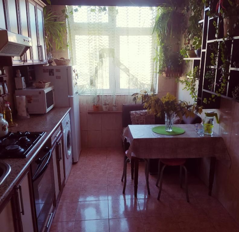 Апартаменты Appartment near Ganjlik Mall Баку-31